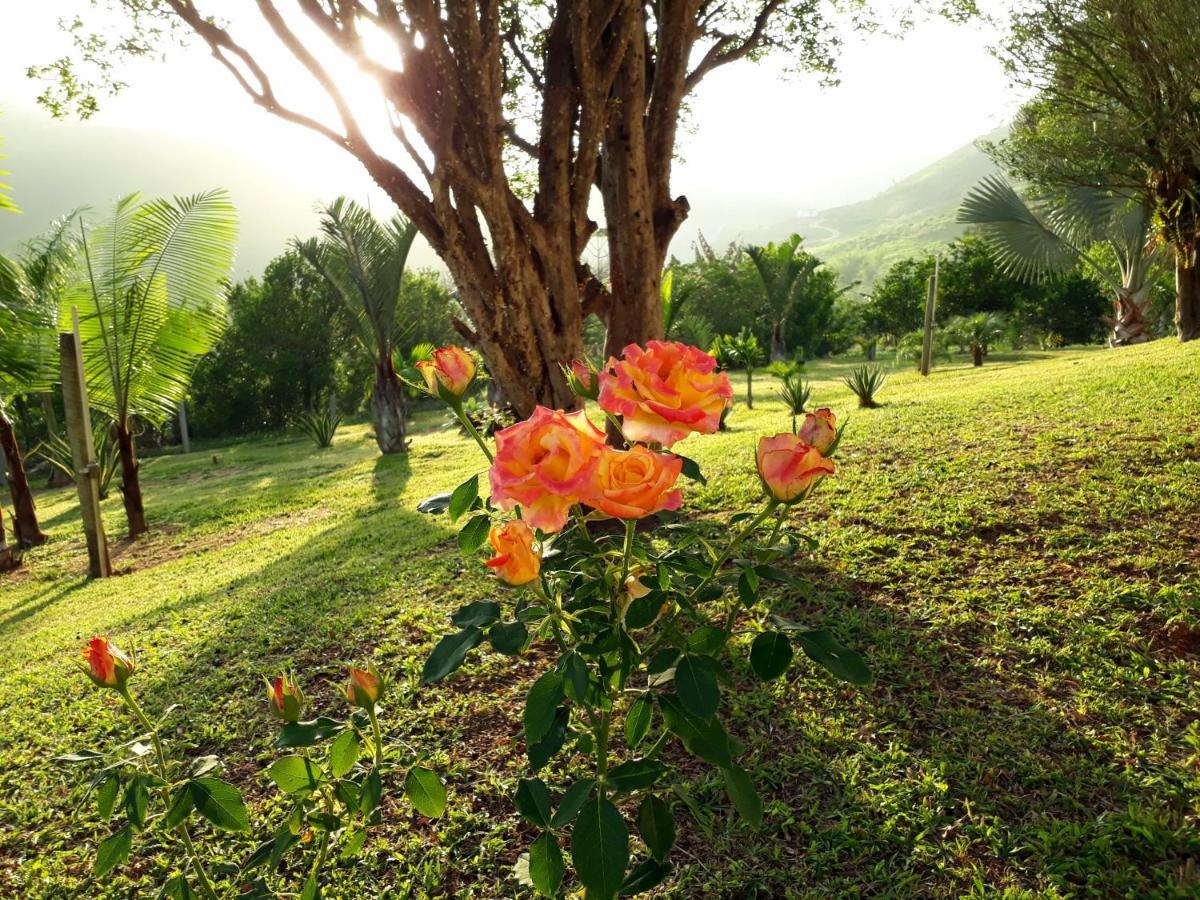 Casa/Sitio Na Serra Em Bom Jardim - Rj المظهر الخارجي الصورة