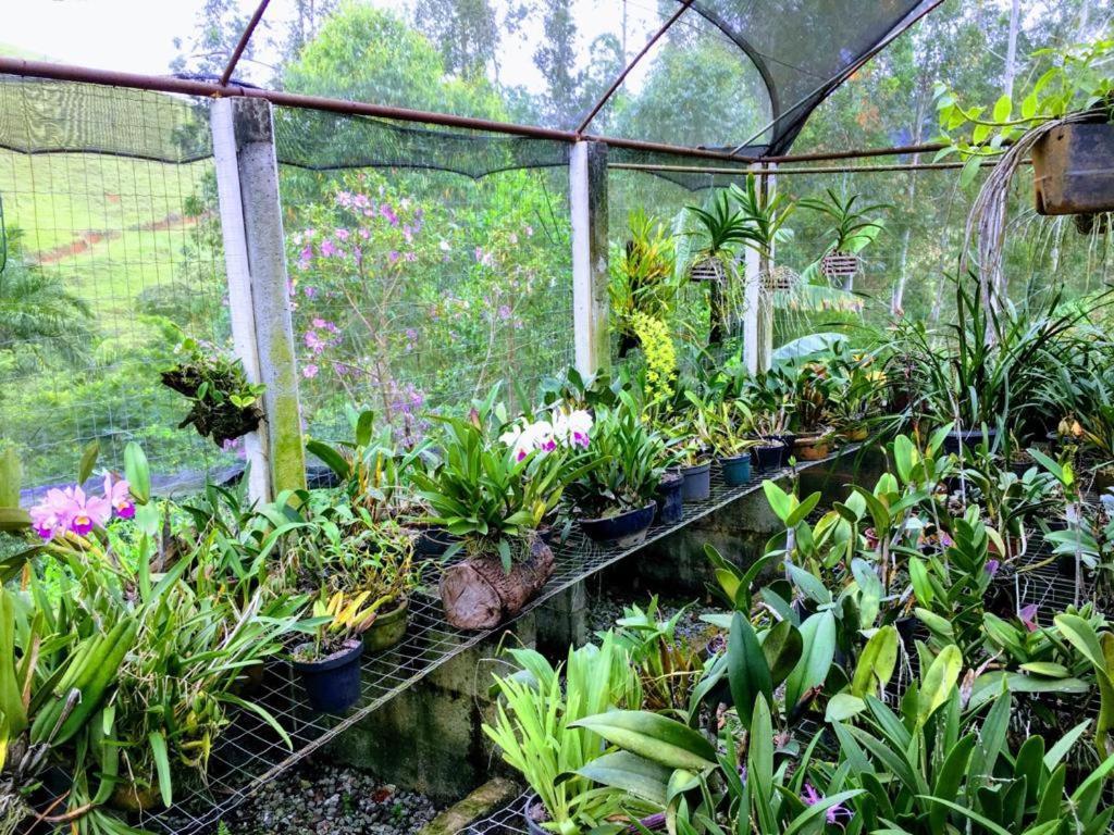 Casa/Sitio Na Serra Em Bom Jardim - Rj المظهر الخارجي الصورة