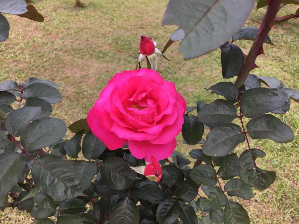 Casa/Sitio Na Serra Em Bom Jardim - Rj المظهر الخارجي الصورة