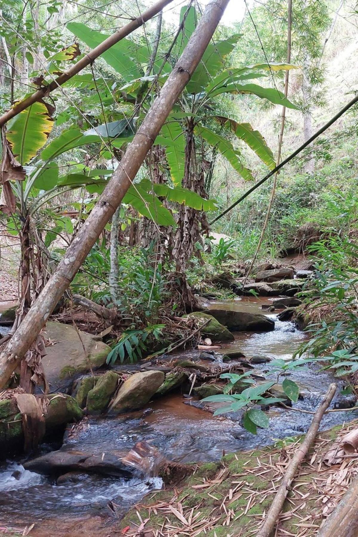 Casa/Sitio Na Serra Em Bom Jardim - Rj المظهر الخارجي الصورة